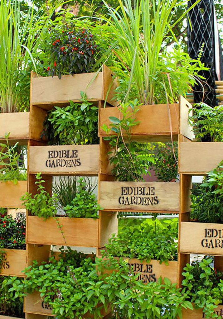 vertical garden 1519931492 715x1024