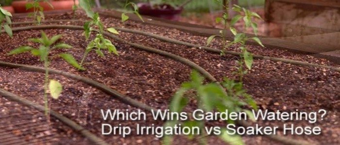 Drip Irrigation vs Soaker Hoses - Which is best for your garden?