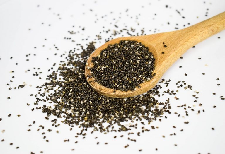 Tips for Growing Your Own Chia Seeds Garden lovers