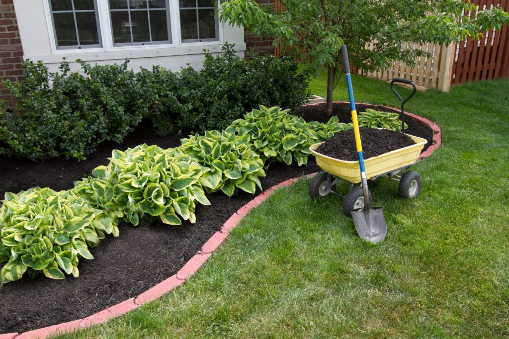 How To Choose The Best Mulch for Your Garden