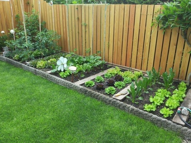 A Vegetable Garden