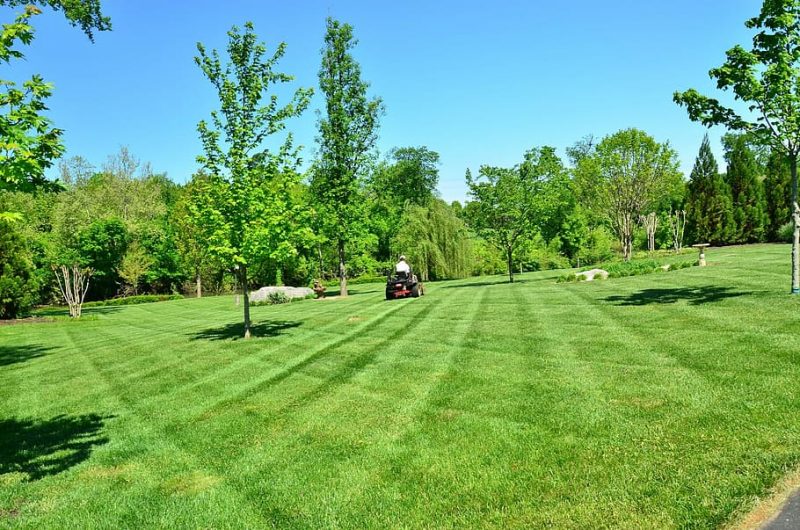 Lawn Care & Maintenance