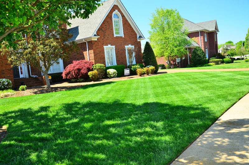 Lawn Care & Maintenance