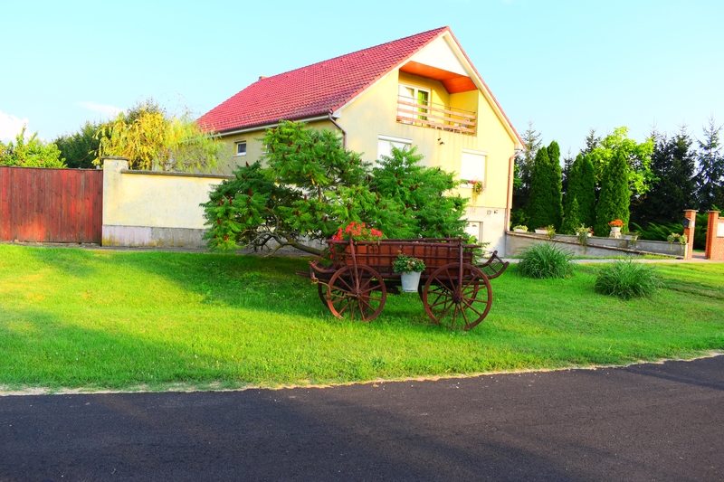 Lawn Care & Maintenance