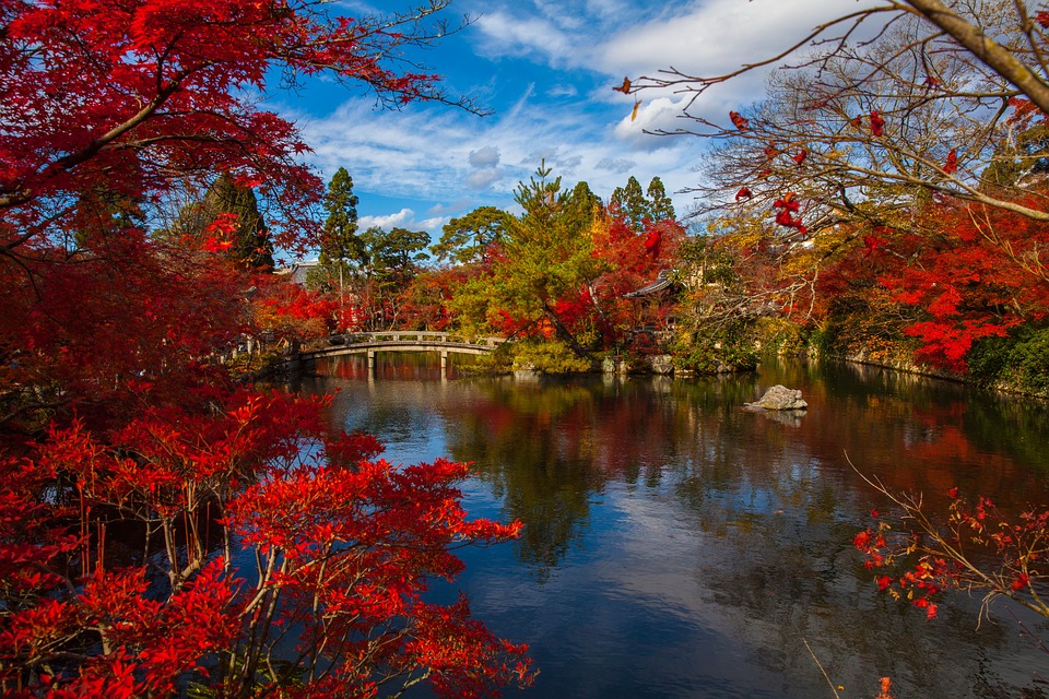 Garden Around The World