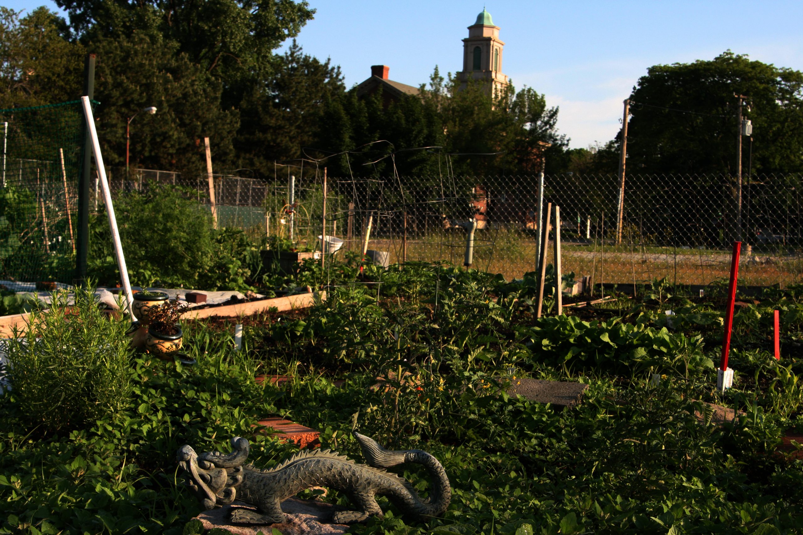 Community garden