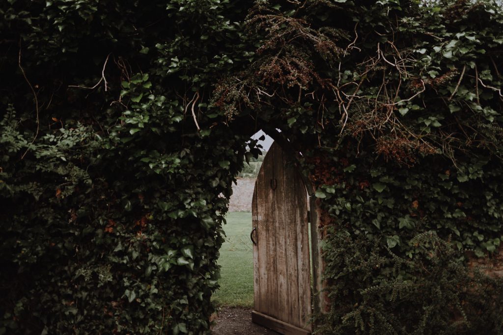 How to Create an Enchanted and Mysterious Garden?