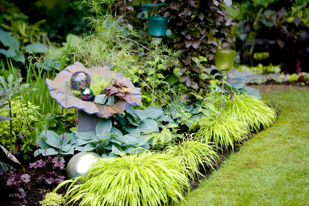 Poisonous Plants You Should Avoid in Your Garden (Part 1)