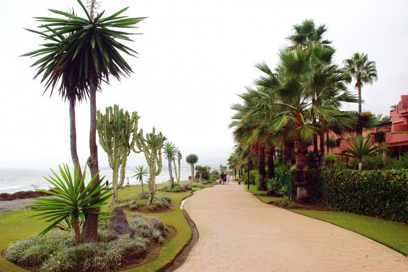 Seaside Garden