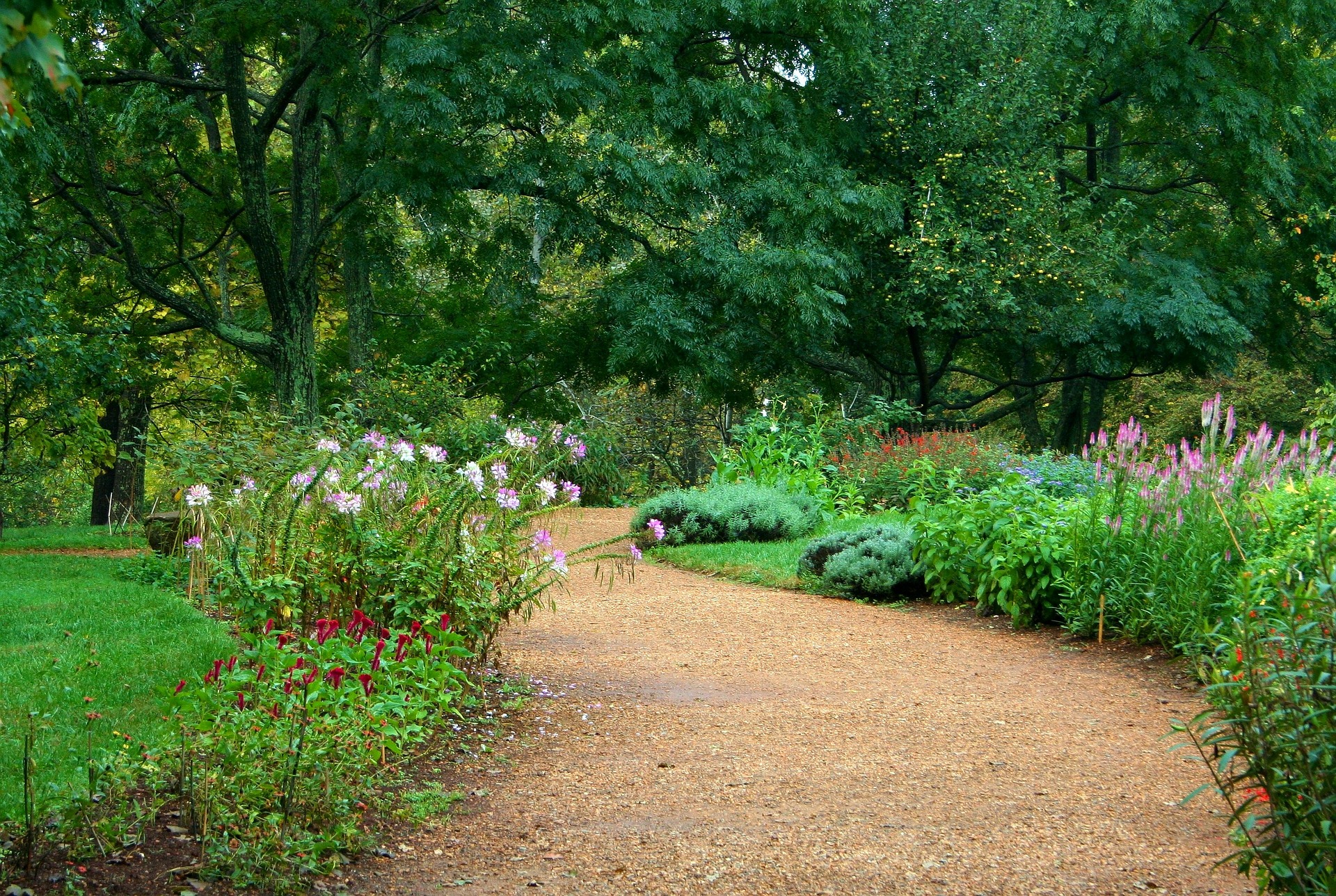 garden-path