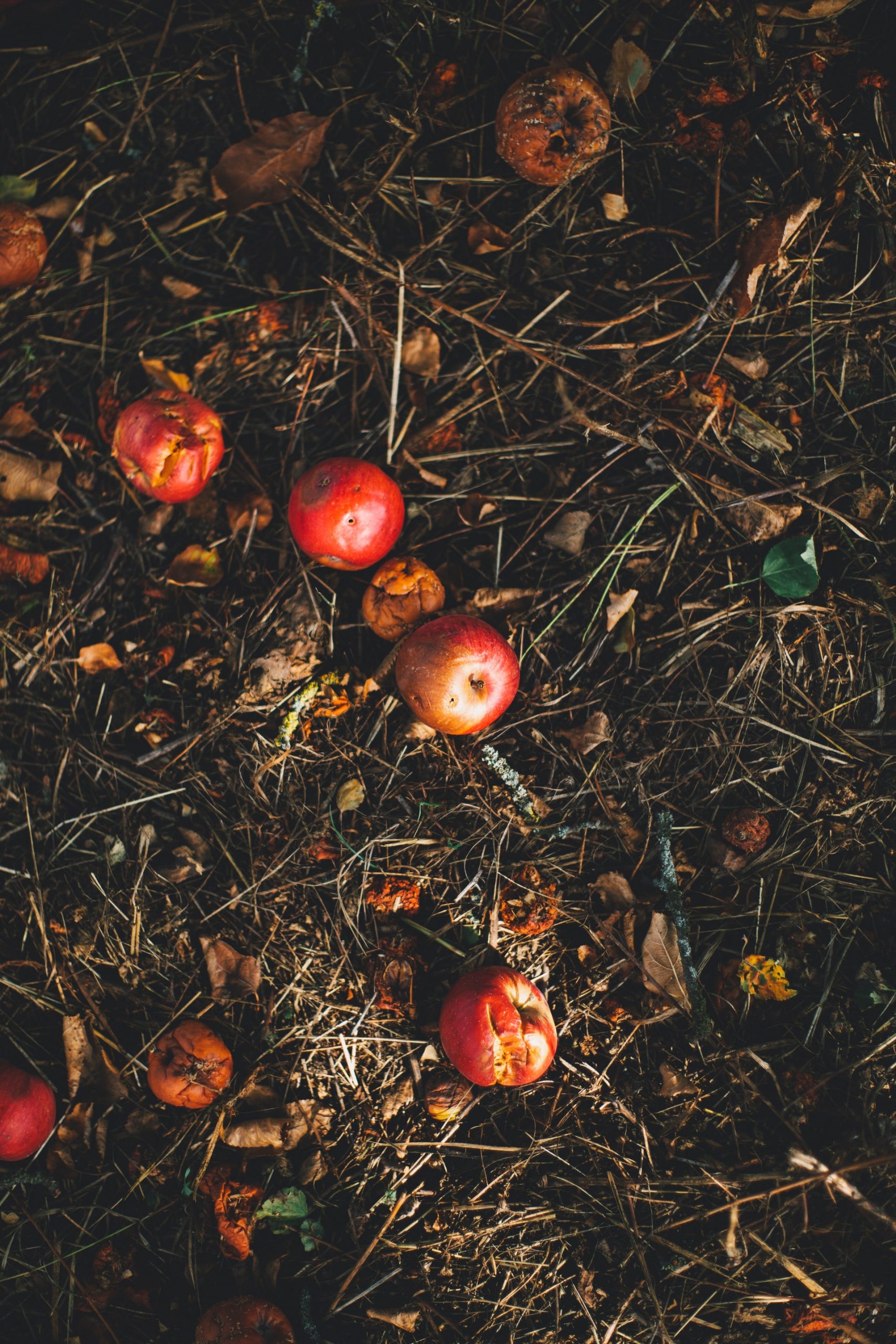 composting