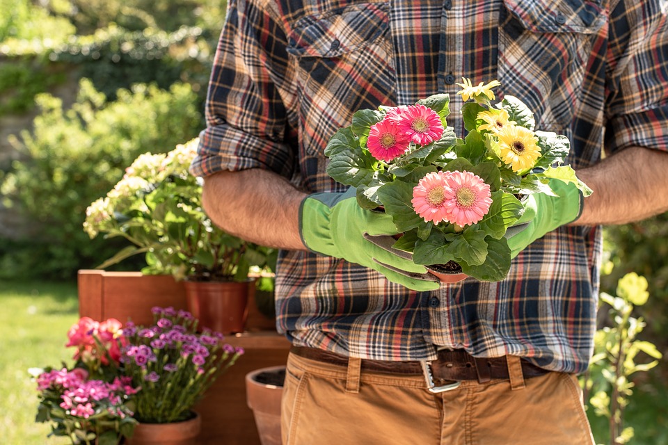 6 New Year Resolutions That Can Make You A Better Gardener In 2022