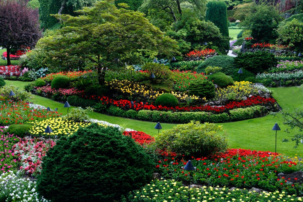 landscaping