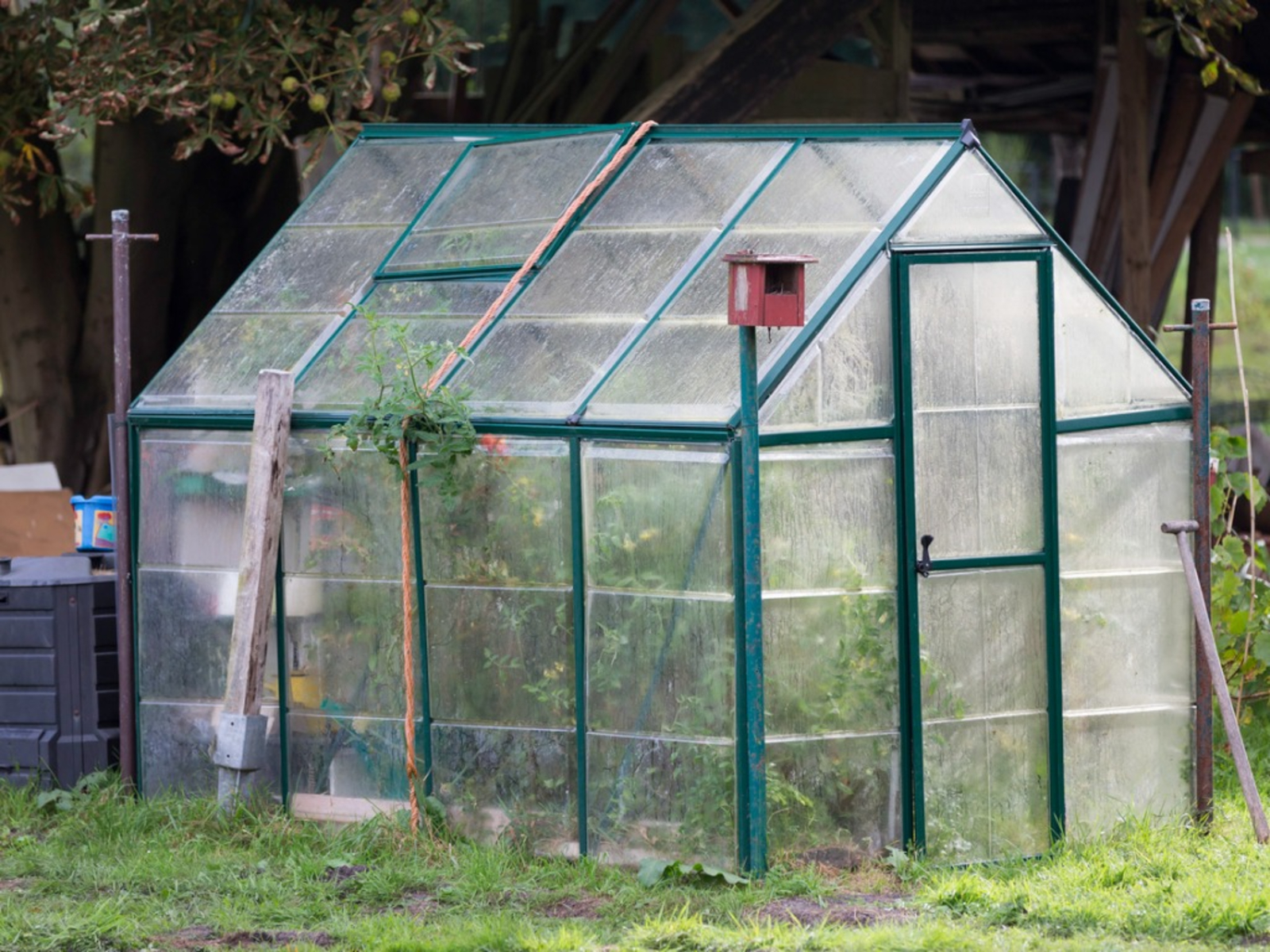 greenhouse2