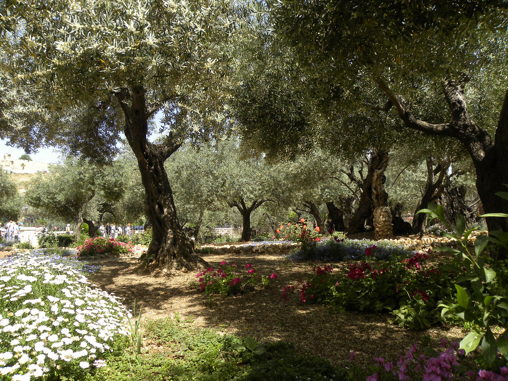 Biblical Garden: Gardening Lessons From the Bible