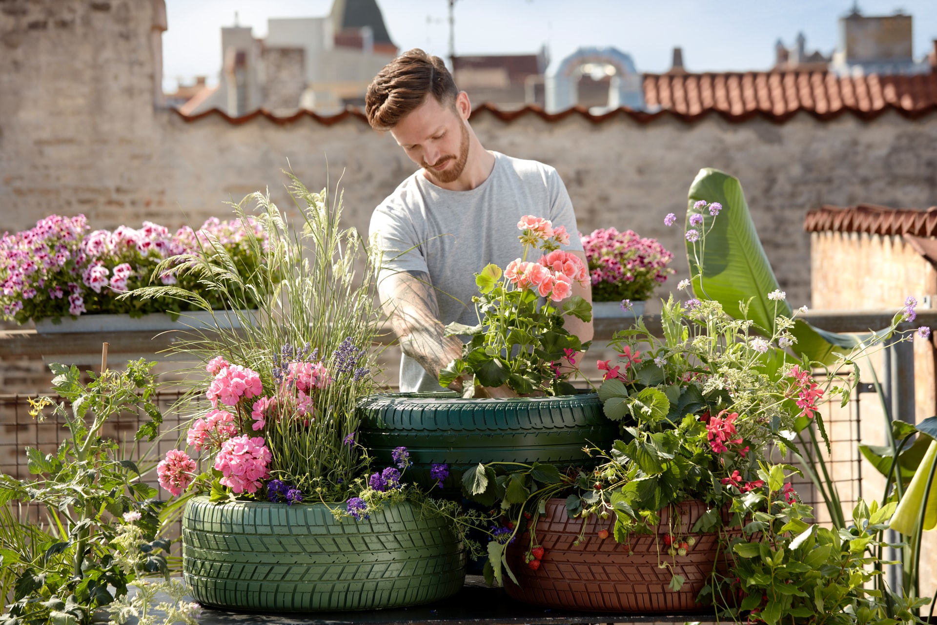 landscaping