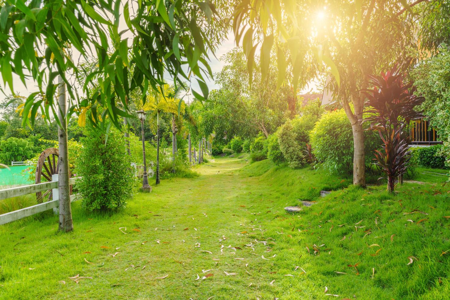 Biblical Garden: Gardening Lessons From the Bible (Part 3)