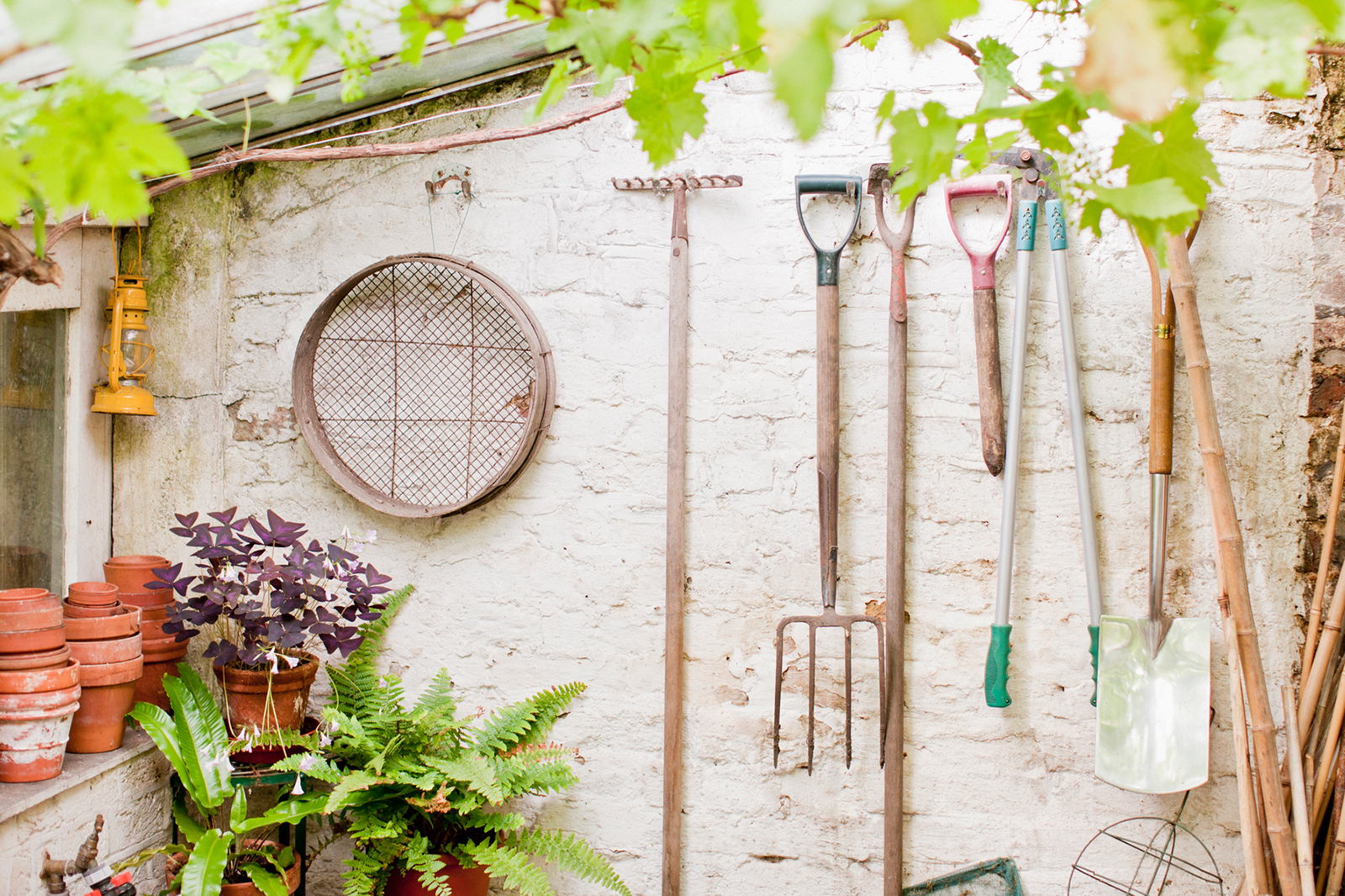Gardening for Beginners: Essential Tools Every New Gardener Needs