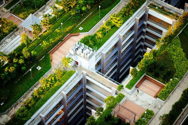 green roof top