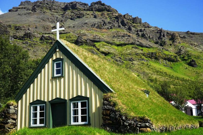 green roof top