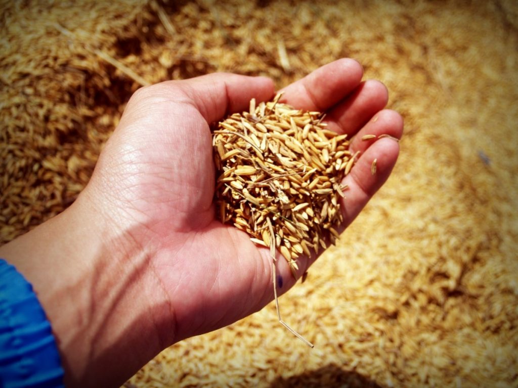4 Steps for Successful Broadcast Seeding