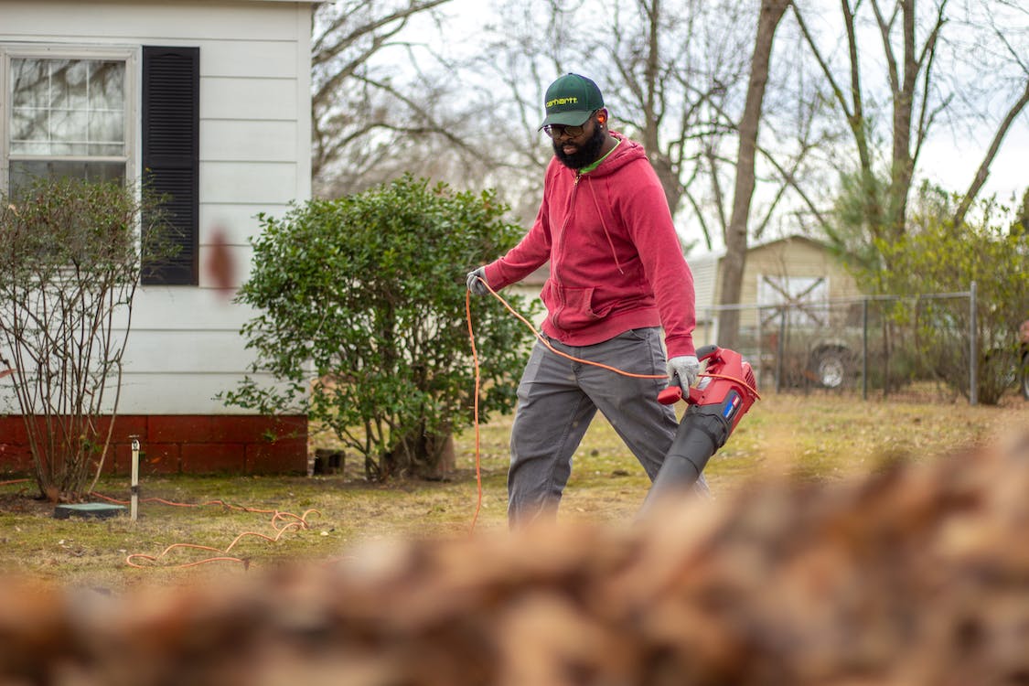 How to Remove Dead Leaves Off Your Lawn