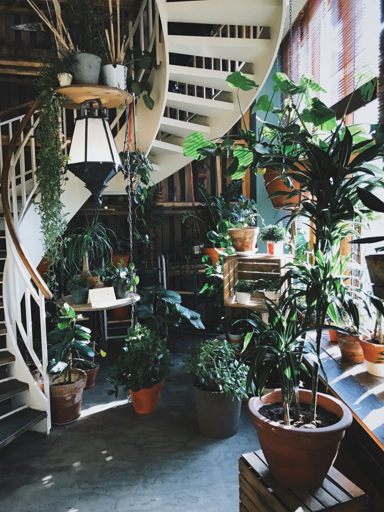 garden