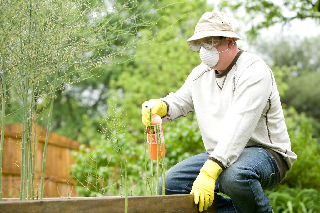 Foliar Fertilizer