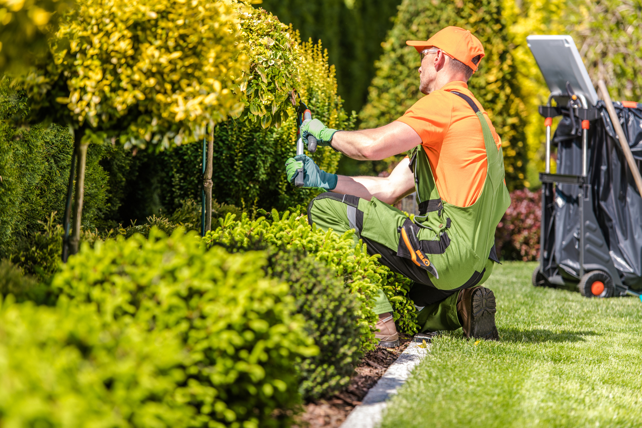 Finding the Best Gardening and Landscape Services in Canada