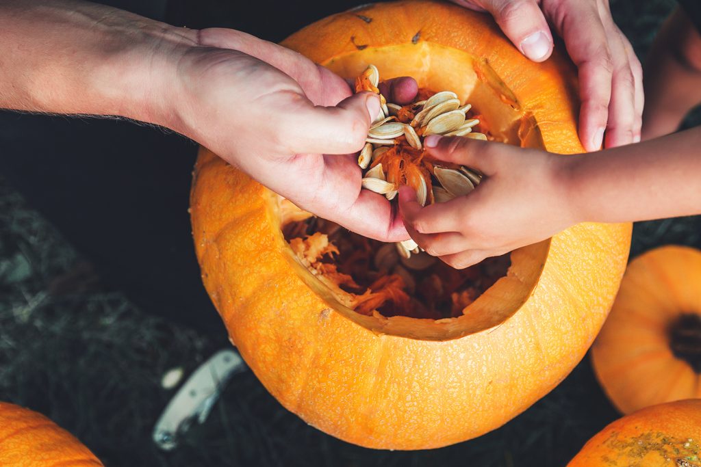 DIY Pumpkin Planter