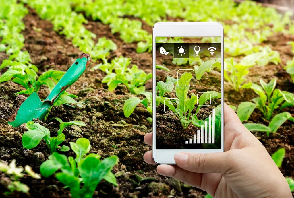 How to Set Inspiring Gardening Goals for This Season?