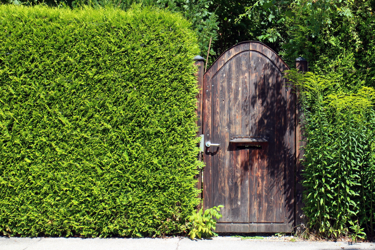 5 Tips To Create More Privacy In Your Garden