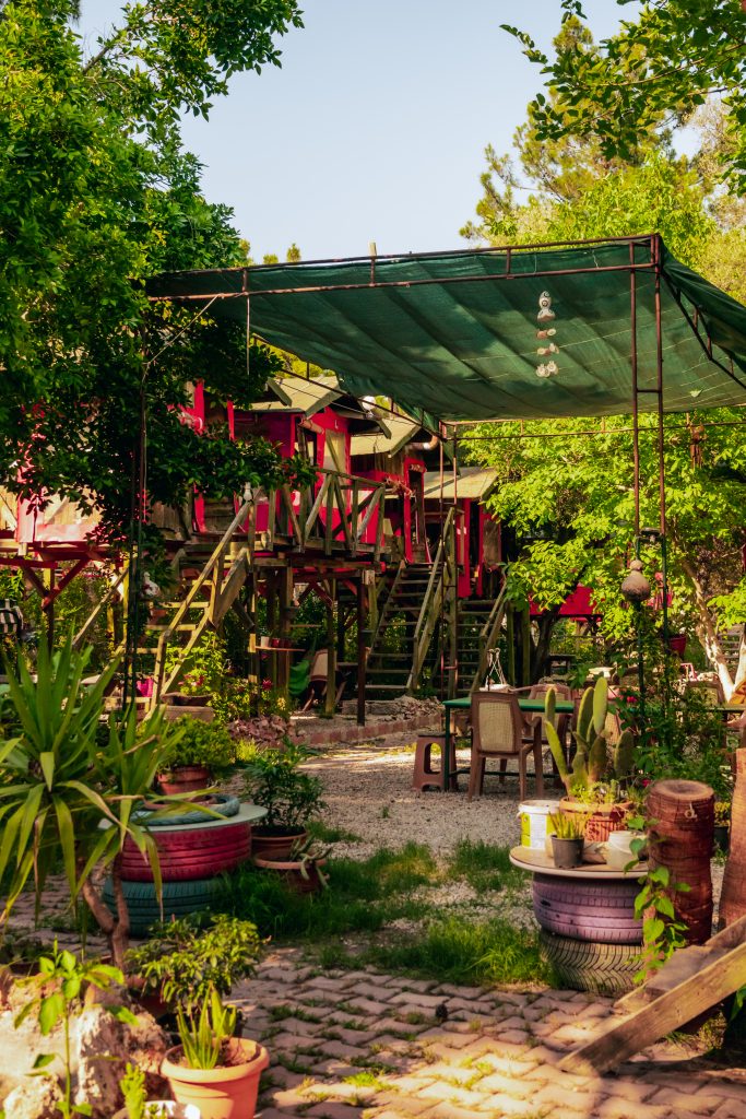 Designing Your Garden - The Keys to a Harmonious Space