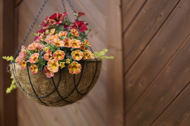 Hanging Flower Basket