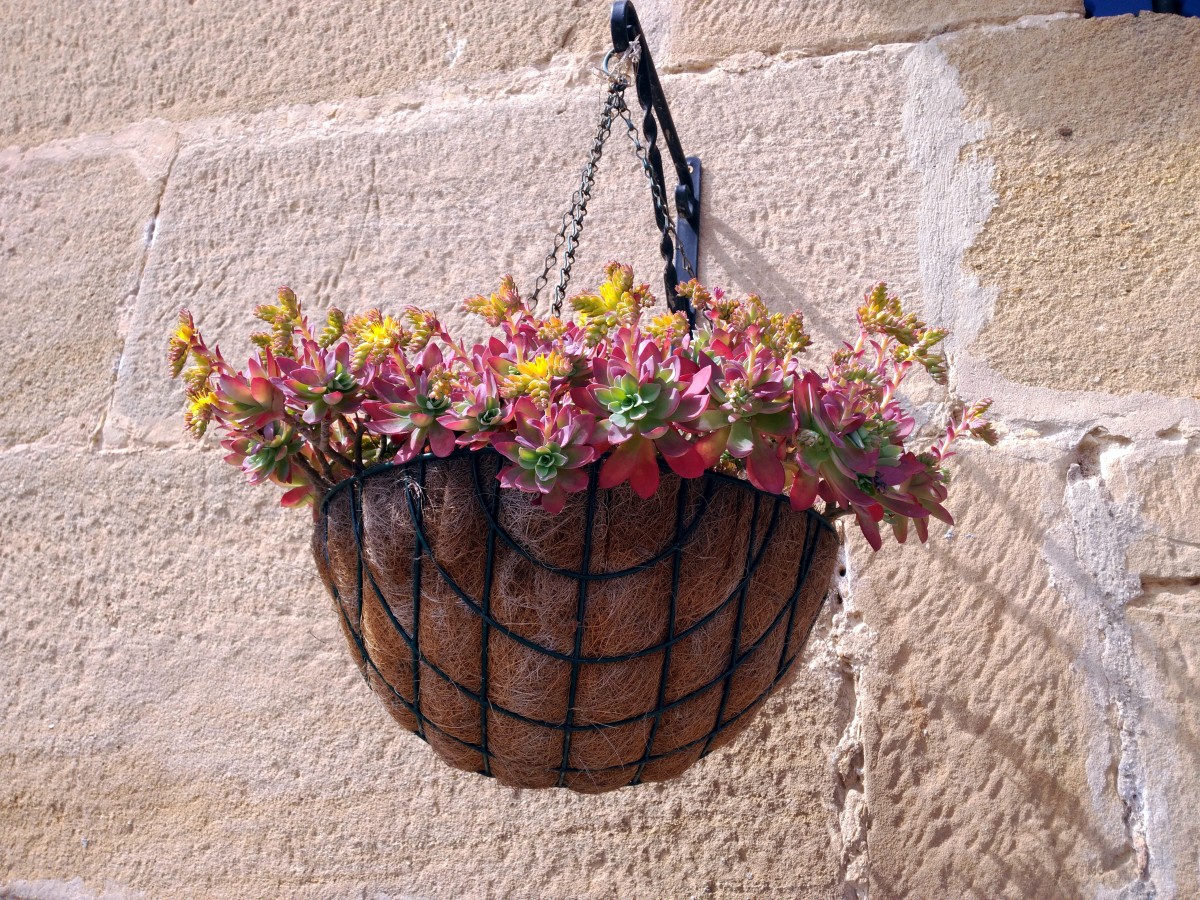 Hanging Flower Basket