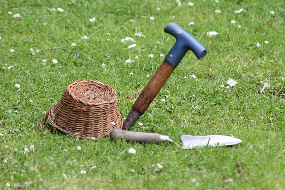 Which Tools to Choose for Gardening
