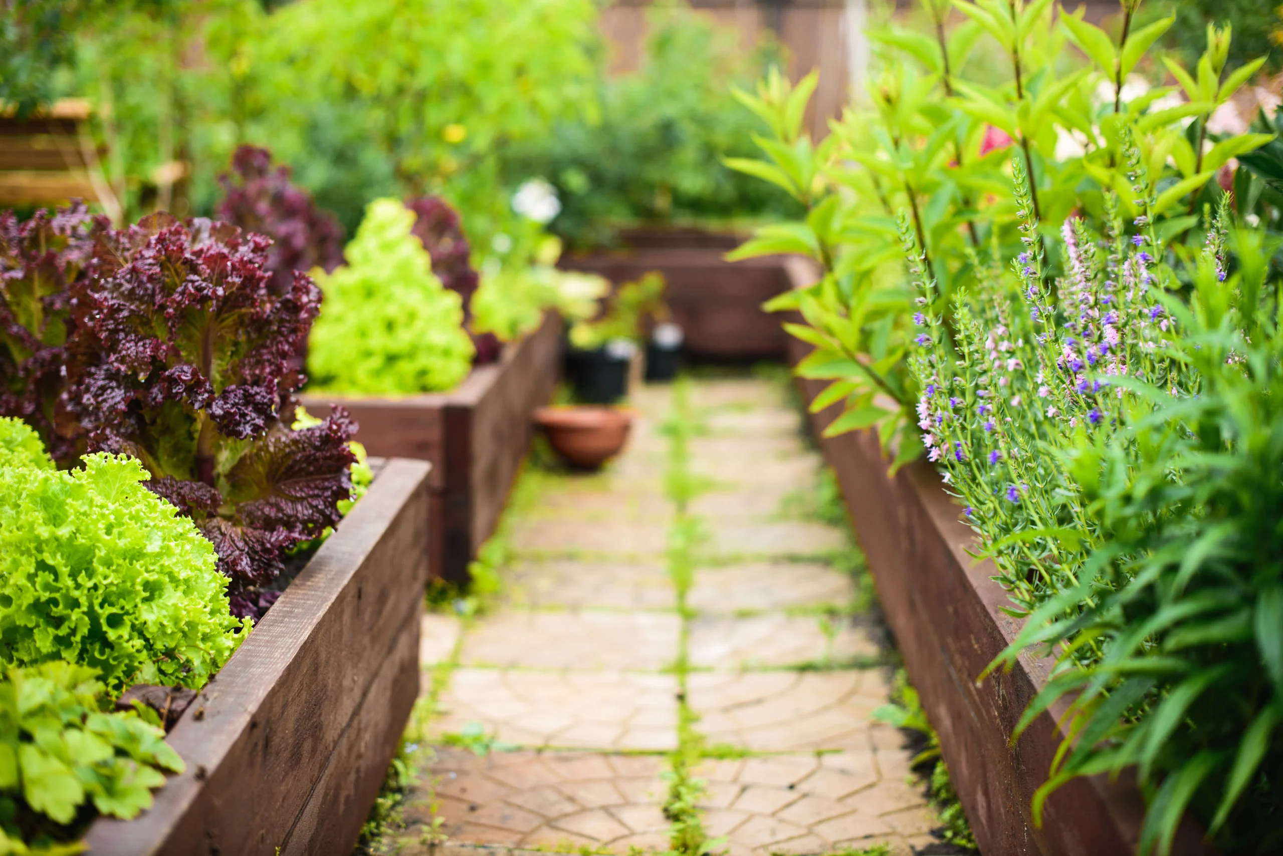 Unleashing the Potential of Your Garden with Raised Bed Gardening