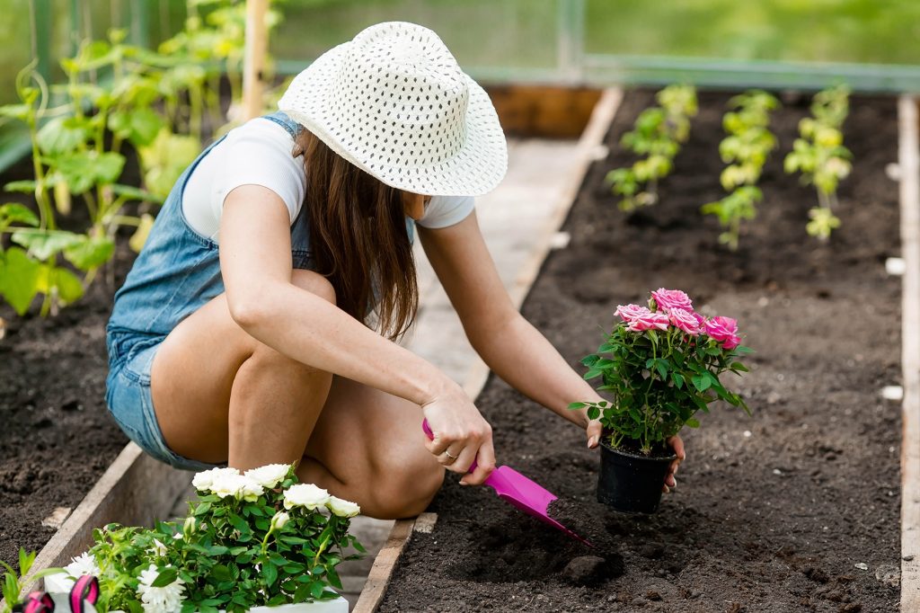 Gardening on a Time, Space, and Budget Crunch