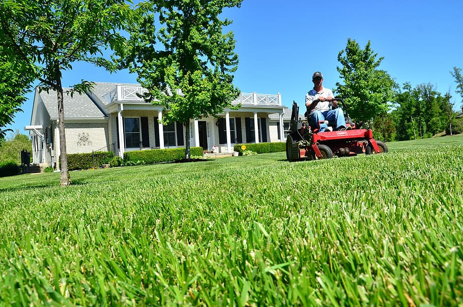 How to Prevent Weeds on Your Lawn: A Comprehensive Guide