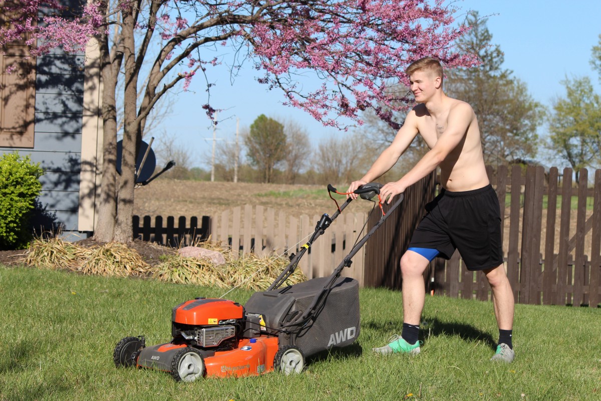 How to Prevent Weeds on Your Lawn: A Comprehensive Guide