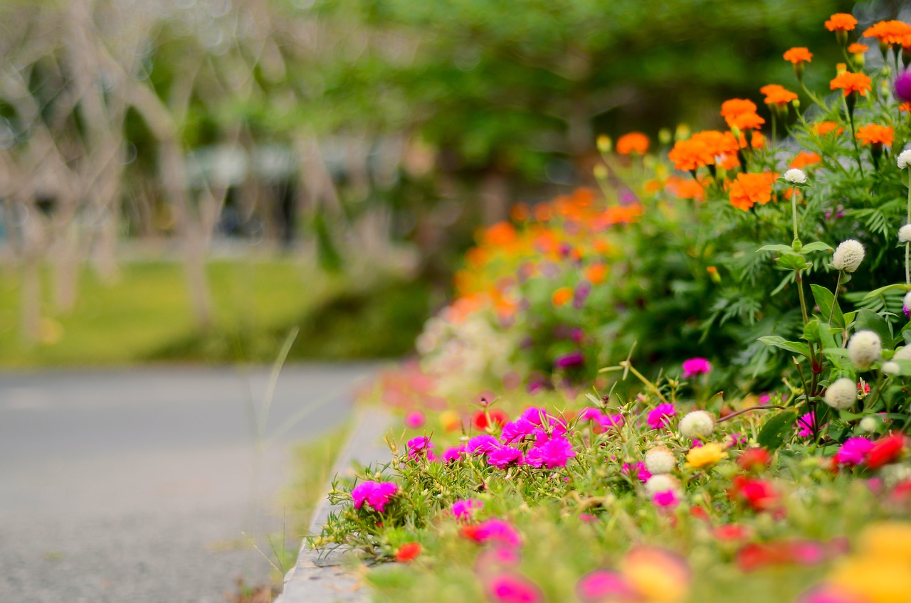 Creating a Beautiful Flower Garden: Tips and Tricks