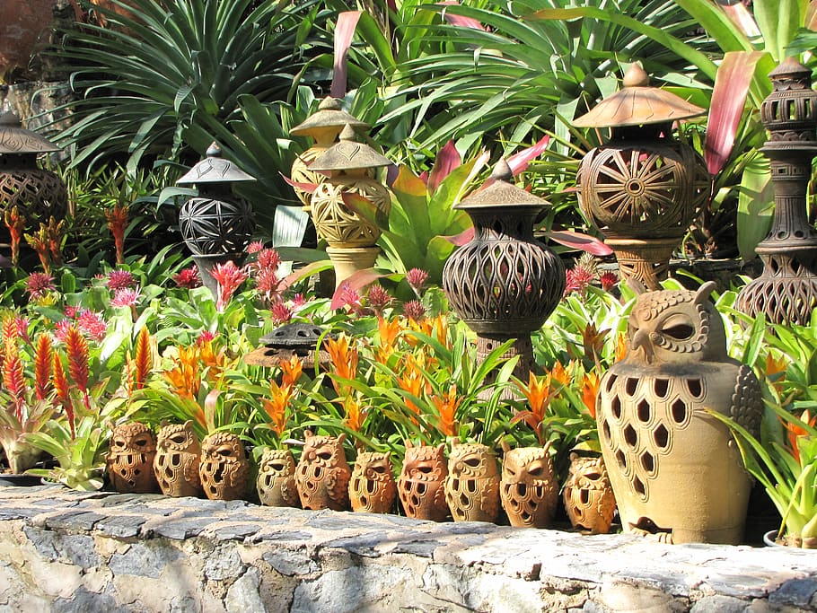 Guide to Crafting Your Own Tropical Oasis: Bring Paradise to Your Backyard