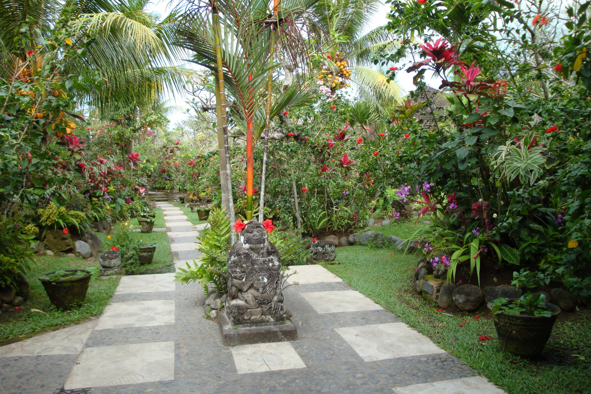 Guide to Crafting Your Own Tropical Oasis: Bring Paradise to Your Backyard