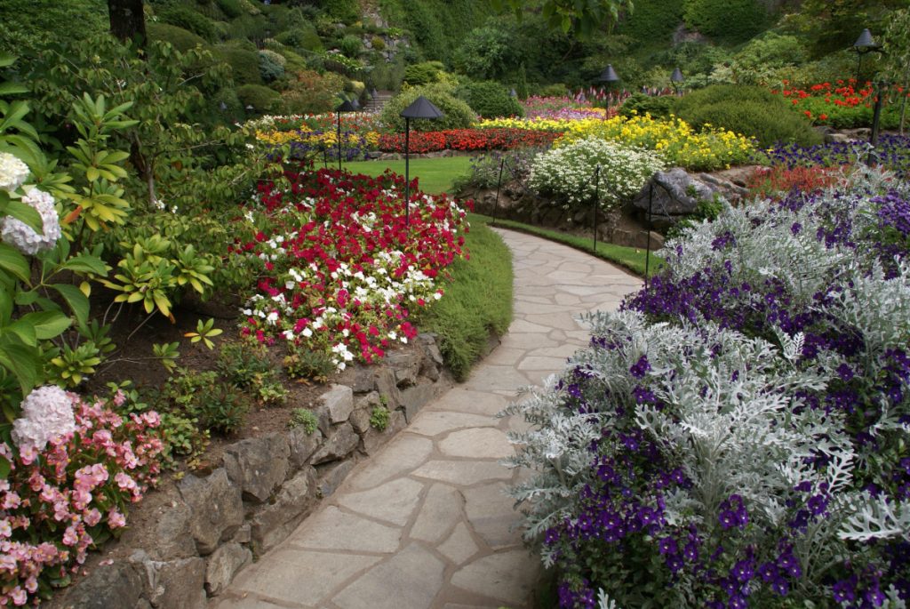How to Create Your Dream Garden: A Guide with a Canadian Twist, Eh?
