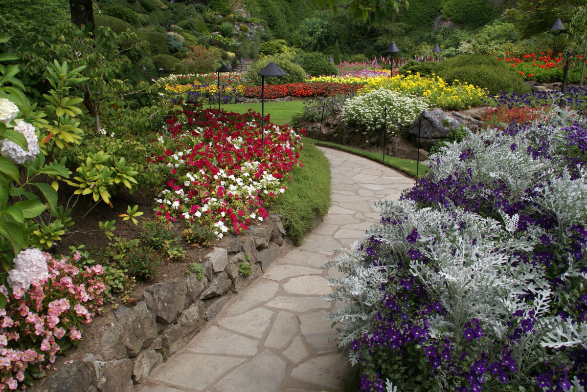 How to Create Your Dream Garden: A Guide with a Canadian Twist, Eh?