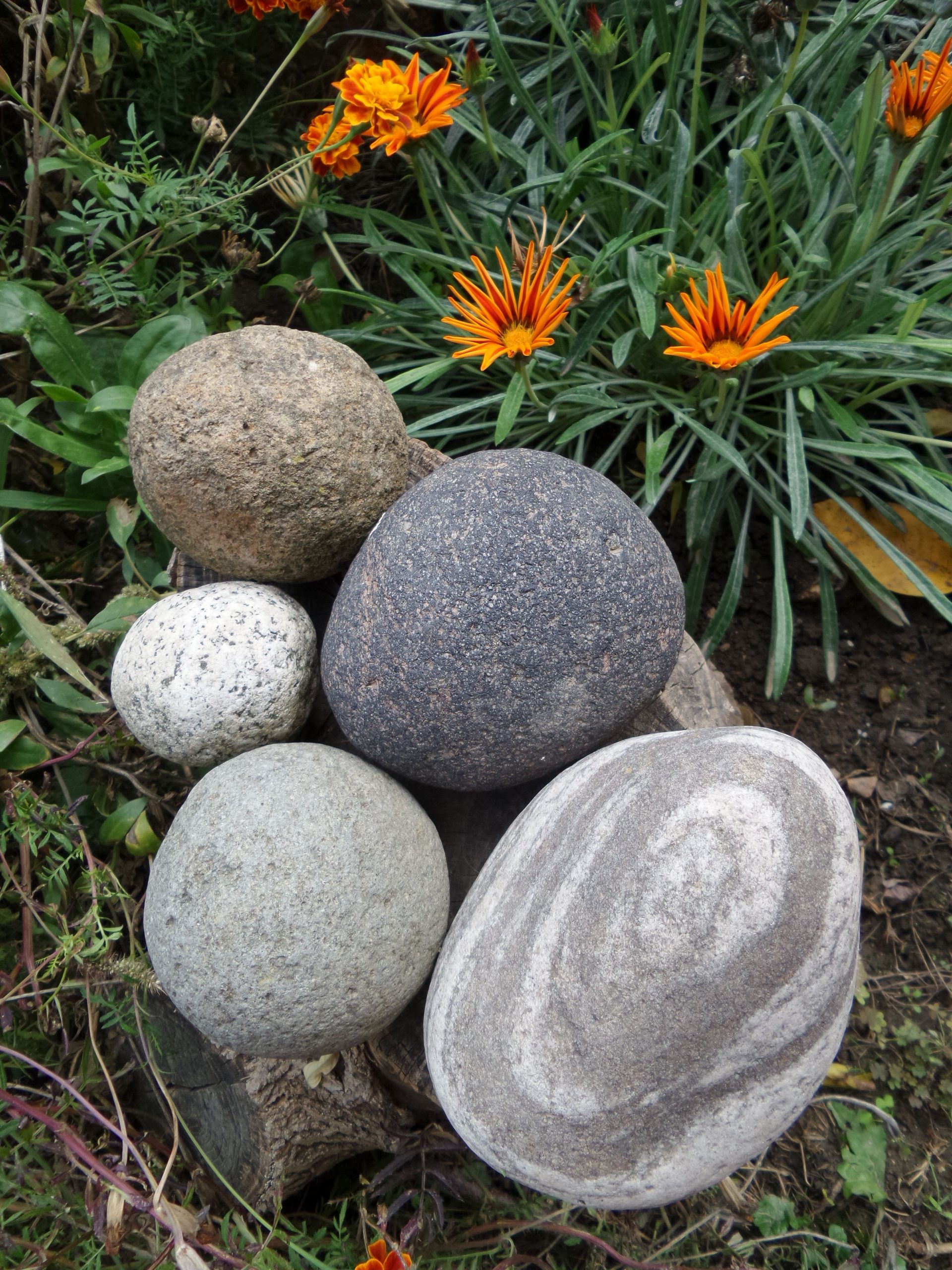 How to Create a Rock Garden