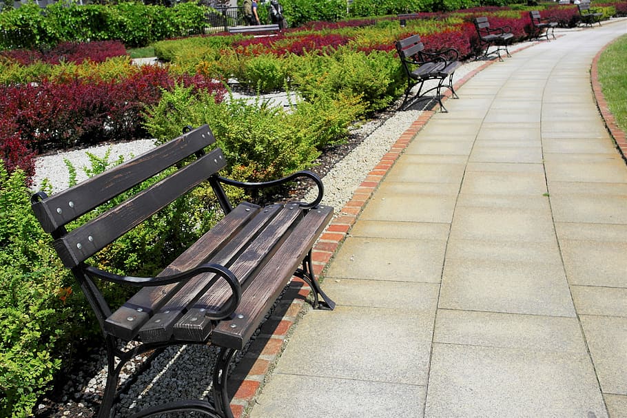 How to Create a Sidewalk Garden: A Guide to Greening Your Urban Space