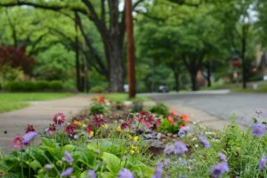 How to Create a Sidewalk Garden: A Guide to Greening Your Urban Space