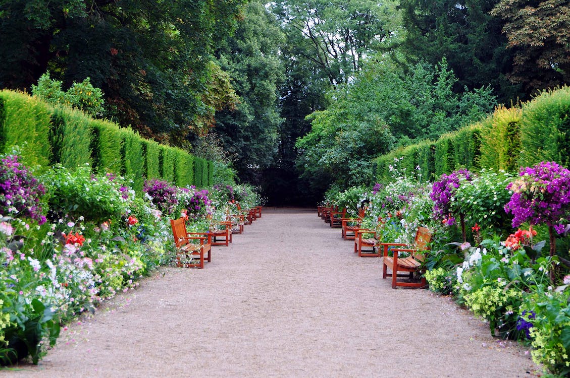 How to Create a Sidewalk Garden: A Guide to Greening Your Urban Space