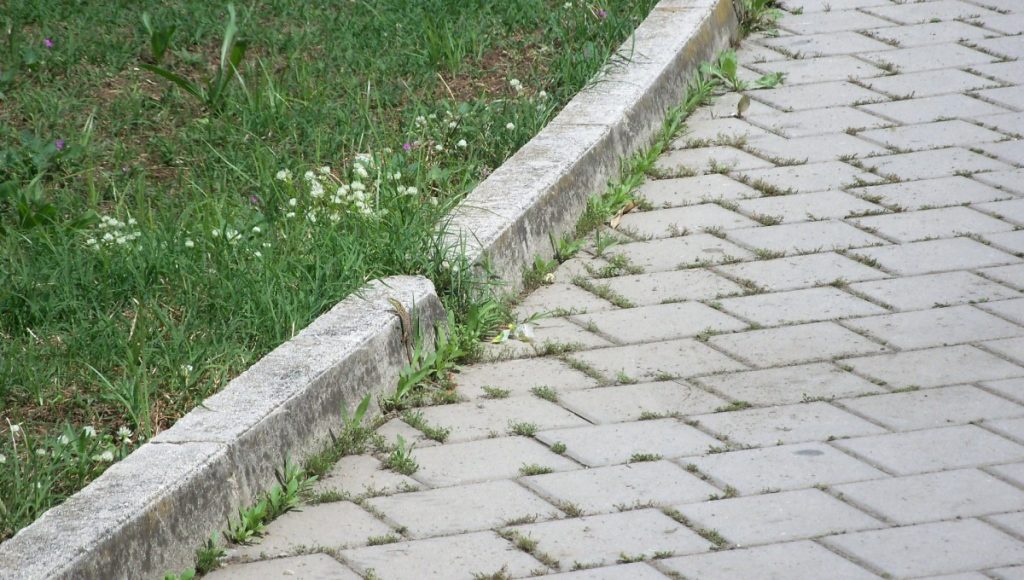 How to Plant a Lawn Border